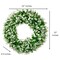 Chiara Artificial Green White Boxwood Decorative Wreath Indoor/Outdoor Use 23''